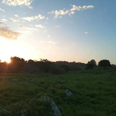 Almenada *