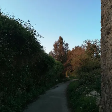 Almenada * Llanes